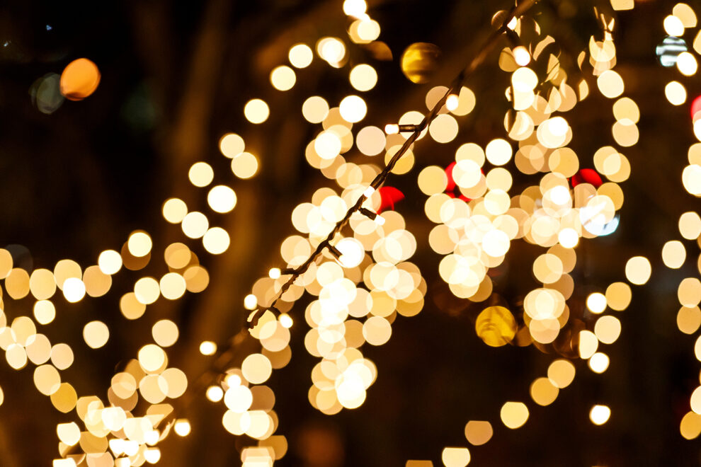 Barbara and the Camp Dogs VIP socials 2019 Josh Woning 1